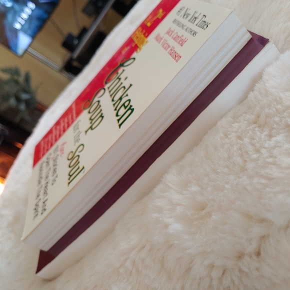 Chicken Soup for the Soul - A 2nd Helping - Picture 5 of 6